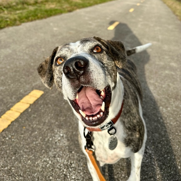 πππ - Picture 2 of 4